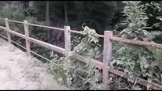 Река Яченка в районе деревни почин