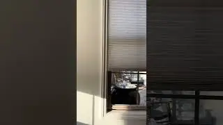 Golden Hour Cellular Shades