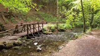 relax video mind fresh motivation