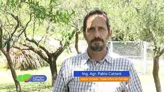 Estructura de Silo Aéreo