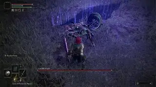 Elden Ring - Ragny VS Crucible Knight