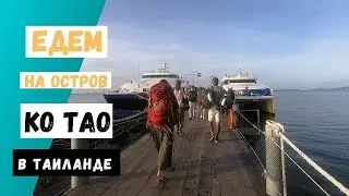 Едем на остров Ко Тао в Таиланде на автобусе из Бангкока