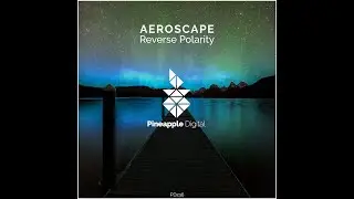 PD236 Aeroscape - Reverse Polarity Available 03-1-2021