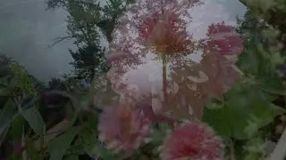 2023 - a video collage