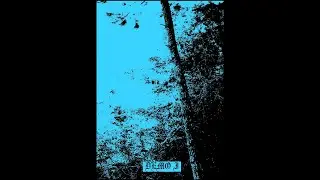 Wailing Forest - Demo I (2022)
