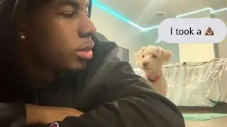 Surprising Mom w/ a DOG!!!! (It’s a BOY!!!!)