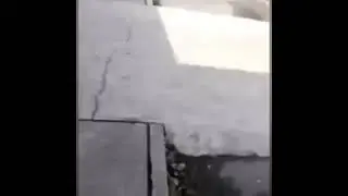 На монету , а нет. Х*й тебе , иди работай :3
