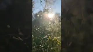 август надо ценить медлено