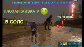 ПРИРУЧИЛА БАРИОНИКСА, РАЗОЧАРОВАНИЕ ИЛИ ИМБА ? 