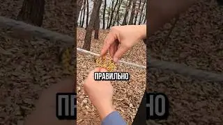 это СПАСЕТ вас на ПРИРОДЕ✅
