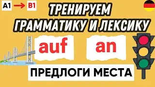 Тренажер 1 | Предлоги места в немецком языке 🇩🇪