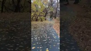 Relaxing Virtual Walk on Rainy Day 🍂🍁 *Full 4k Video on my Channel* 