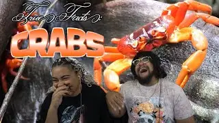 True Facts About Crabs: ZeFrank Reaction ft Chavezz