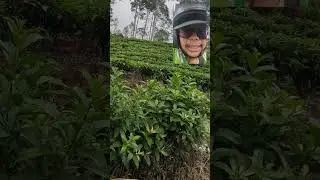 Cerita Beli Hasil Tani. Langsing Itu Bonus