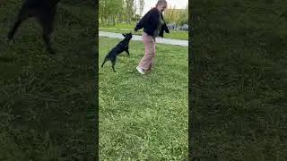 Вииииииуууууу