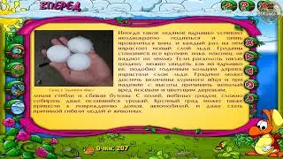 Игра Дракоша и занимательная природа Природные явления