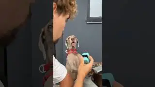 НИКИТА СДЕЛАЛ ПРЕДЛОЖЕНИЕ ЛЕРЕ? 😍