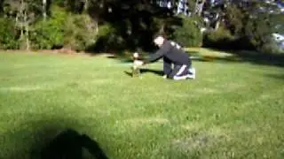Harry and Max Rocket Launch 2