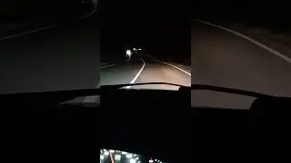 покатуха