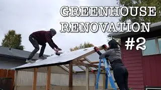 Twin wall polycarbonate roof | shed to greenhouse renovation part 2