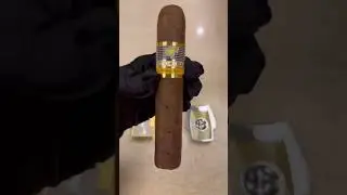 Marvero Humidor: What Should Do When Beetles Take Over Cohiba Cigar?!！