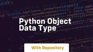 python object data type