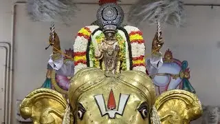 Sri Parthasarathy swamy Brahmotsavam Yaanai Vahanam