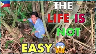 LIFE IS NOT EASY LIVING IN THE COUNTRYSIDE?