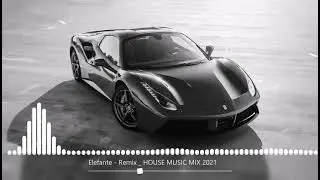 Elefante   Remix  HOUSE MUSIC MIX 2021