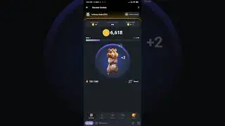 Hamster 🐹🐹🐹 #shortsfeed #shorts #hamsterkombat #hamsters #crypto #viral