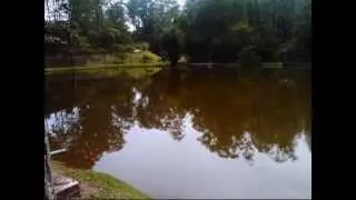 Oslog na  SKF.wmv