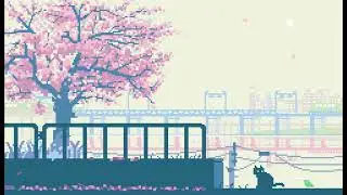 NINOMIYA Yuji - Sunny Spot