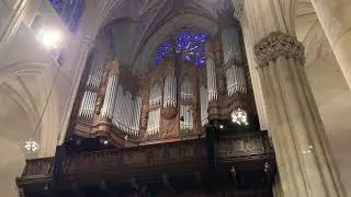 Organ recital after mass, St Patricks Cathedral