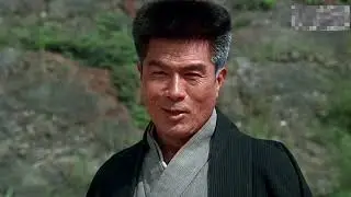 中華武術精彩演繹，各路拳法招式大揭秘