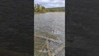 Осень. Вода. Природ. Кольский полуостров.