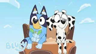 Il meglio degli amici di Bluey e Bingo della stagione 2 💙🧡  | Bluey Italiano Canale Ufficiale 💙 🇮🇹