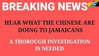 WHAT THE CHINESE ARE DOING TO JAMAICANS.