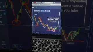 СТРАТЕГИЯ БЕЗ ИНДИКАТОРА ДЛЯ НОВИЧКА! Проходимость - 98%| Бинарные Опционы | Pocket Option 2024