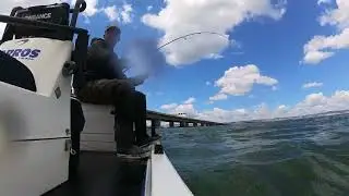 Pesca com gomas   XTR SKIFF