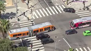 Buses in Los Angeles, California 2018