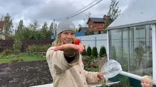 всё закономерно и прекрасно. 4К