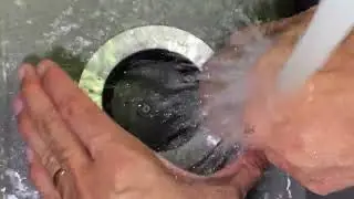Manage domestic waste by using a garbage disposal directly under the sink