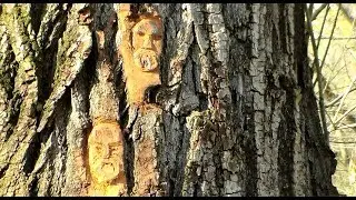 Гамак и Лесная жизнь