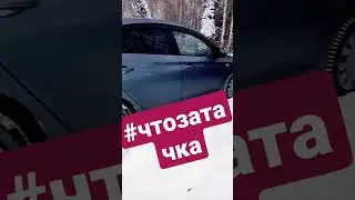 #чтозатачка #shorts #ремонтджили