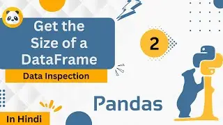 Get the Size of a DataFrame | Pandas Data Structures | #pandas #python #leetcode