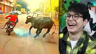 Tente Não Rir Com Memes De Humor De Tiozão Do Zap