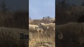 Вот это взгляд😳🔥