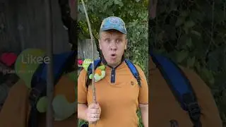 Борька Поднял 500 Килограм @MSLav