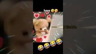#funny #meme #memesdaily #memories #memes