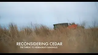 RECONSIDERING CEDAR   The Threat to Nebraska's Sandhills